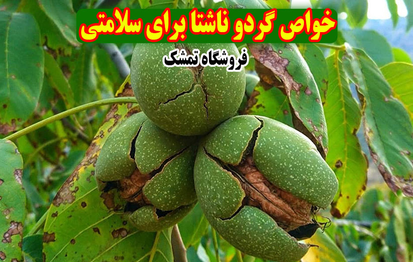 خواص گردو ناشتا